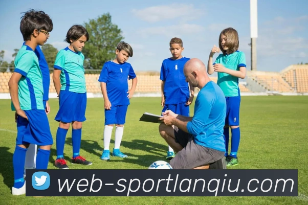 篮球赌注平台生态图